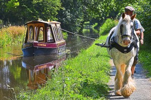 Horse Drawn Boat Trips
